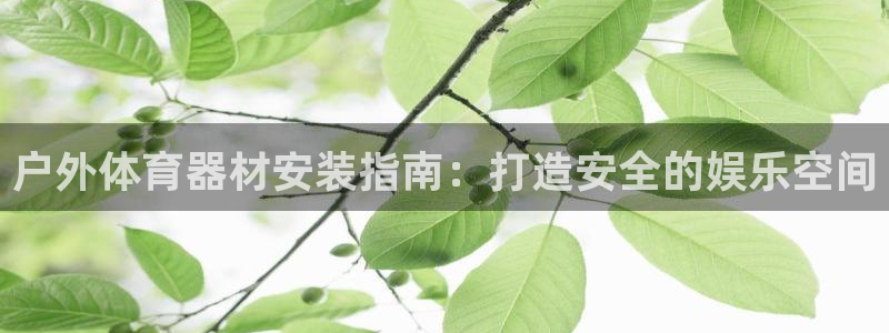 哪吒s耀世版价格：户外体育器材安装指南：打造安全的娱