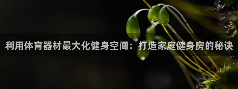 耀世娱乐登陆官网网址