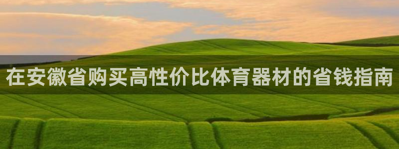 耀世集团是干嘛的企业啊怎么样：在安徽省购买高性价比体