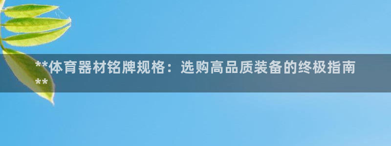 耀世娱乐返点多少钱：**体育器材铭牌规格：选购高品质