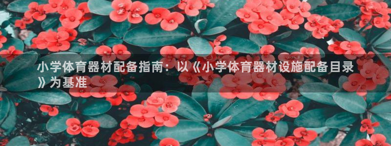 耀世娱乐网站下载：小学体育器材配备指南：以《小学体育