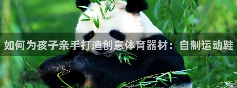 耀世集团是干嘛的企业啊:如何为孩子亲手打造创意体育器材:自制