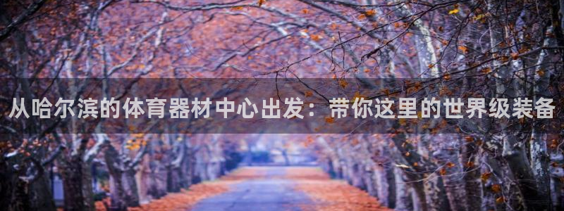 耀世娱乐在线登录官网入口:从哈尔滨的体育器材中心出发:带你这